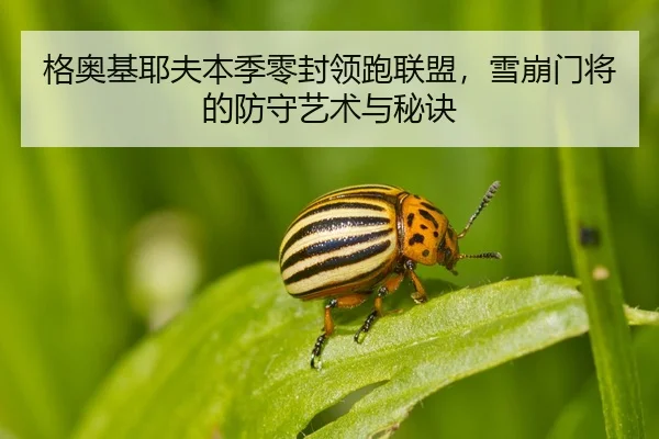 ge-ao-ji-ye-fu-ben-ji-ling-feng-ling-pao-lian-meng-xue-beng-men-jiang-de-fang-shou-yi-shu-yu-mi-jue-2-492.jpg