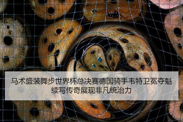 马术盛装舞步世界杯总决赛德国骑手韦特卫冕夺魁续写传奇展现非凡统治力