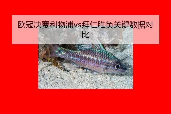 欧冠决赛利物浦vs拜仁胜负关键数据对比