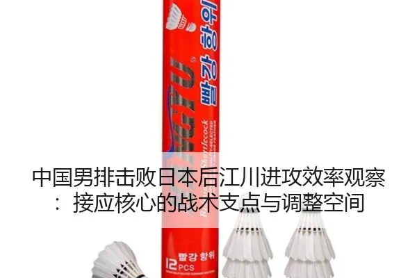 zhong-guo-nan-pai-ji-bai-ri-ben-hou-jiang-chuan-jin-gong-xiao-lv-guan-cha-jie-ying-he-xin-de-zhan-shu-zhi-dian-yu-tiao-1-282.jpg